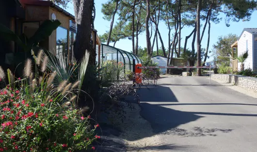 CAMPING MUNICIPAL LE MINDIN