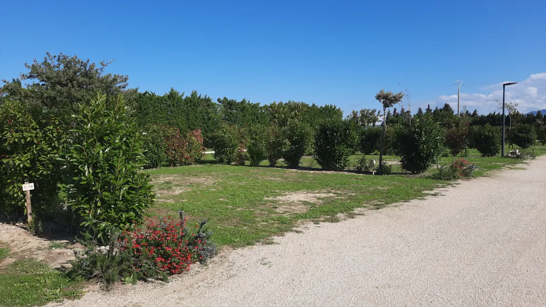 CAMPING DES FAVARDS