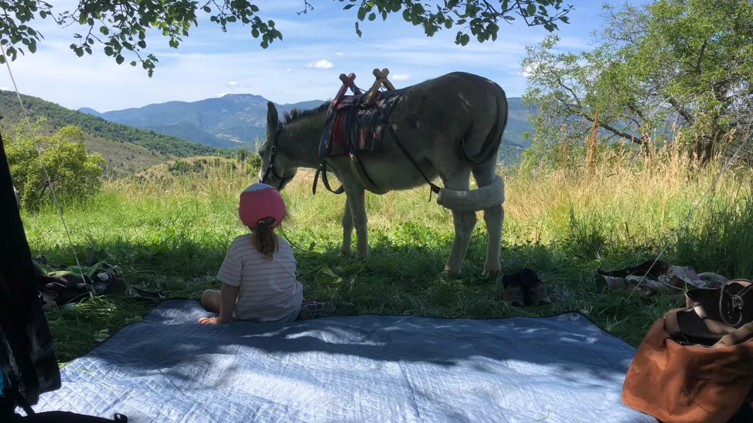 CAMPING BAMBOUL'ÂNE