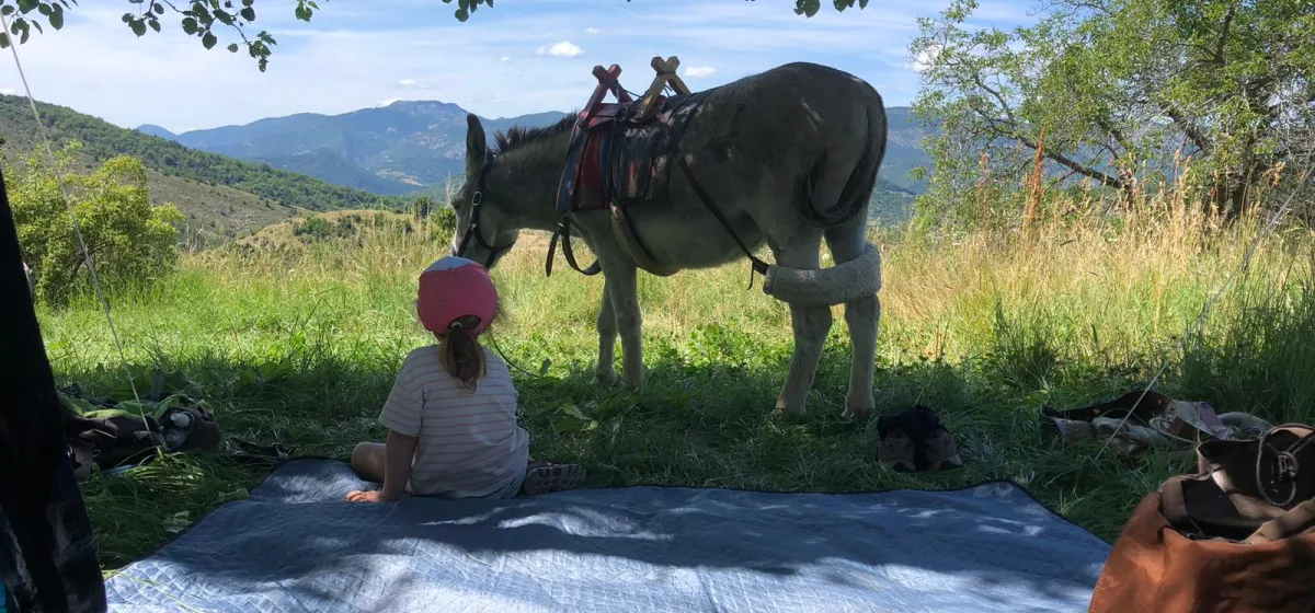 CAMPING À LA FERME DE BAMBOUL'ÂNE