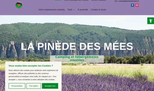 LA PINÈDE DES MÉES